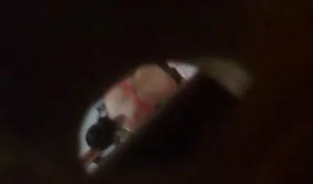 سینما خاطرات سکسی لیلا طلا