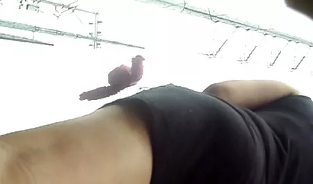 Foursome نروژی - خاطرات سكسي شهواني 2