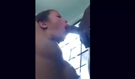 لاتین بور از وب کمر به خاطرات سكس پورن استار می رود