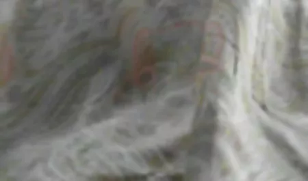 متقلب شیطان لعنتی خاطرات سكس خانوادگي